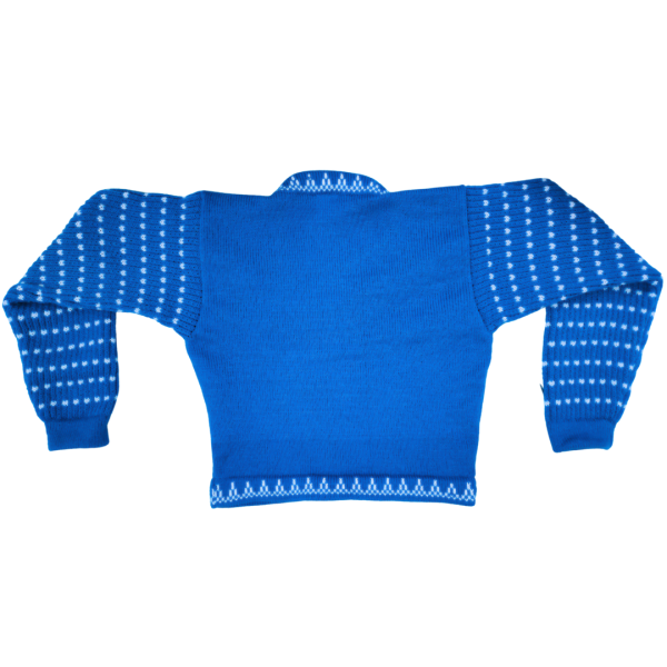 Blue & White Dotted Flower Woolen Blouse Sweater for Women - Elegant Winter Wear