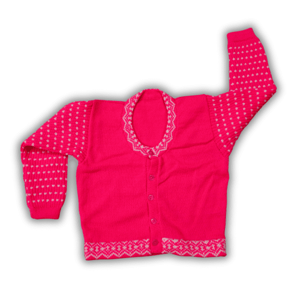 Stylish Pink Full Sleeve Stretchable Blouse for Women | Trendy Slim Fit Round Neck Top