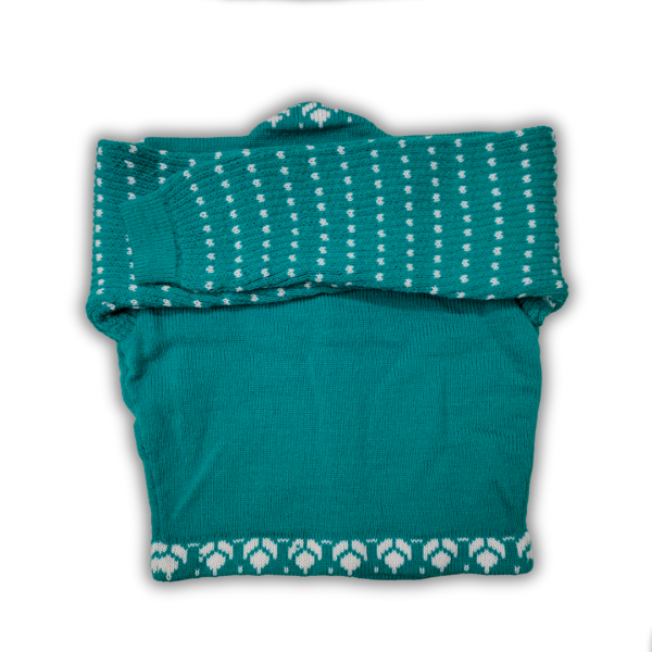Green Blouse with White Checkered Flower-Printed Full Sleeves for Women - Image 2
