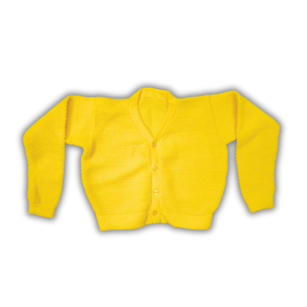 Full Sleeve Yellow Blouse for Women