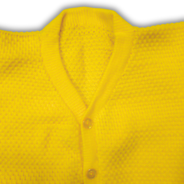 Full Sleeve Yellow Blouse for Women