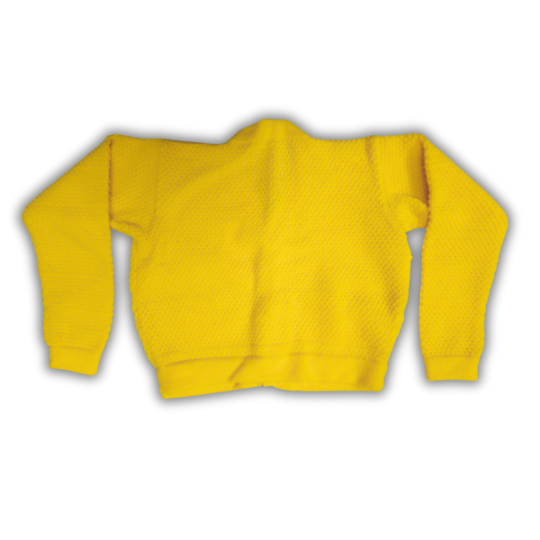 Full Sleeve Yellow Blouse for Women