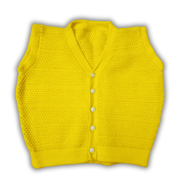 Trendy Sleeveless Blouse for Women Stylish Winter Top Versatile Fashion by Sonai Knitcraft