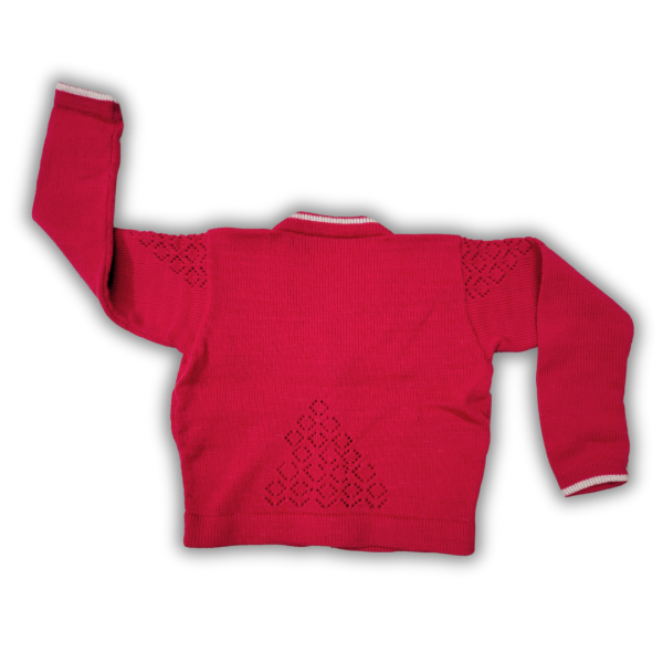 Onion Pink Full Sleeve Trendy Back Holed Blouse for Women by Sonai Knitcraft - Image 4